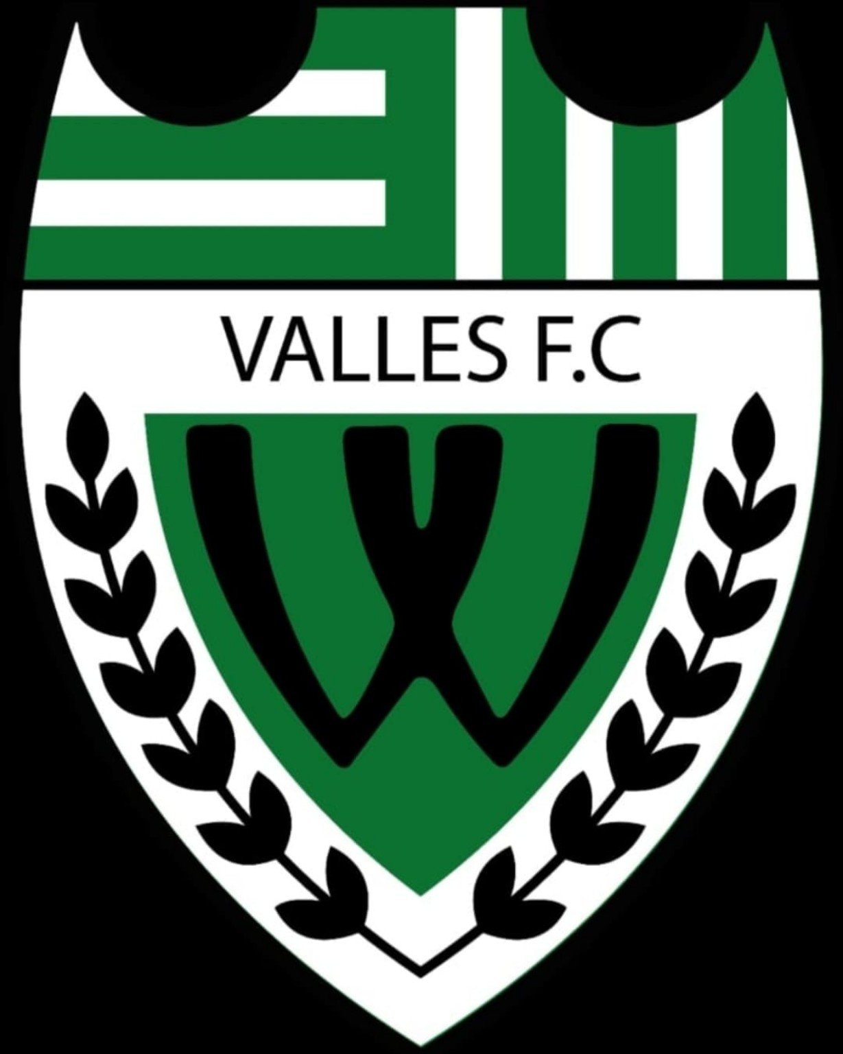 Los Valles FC